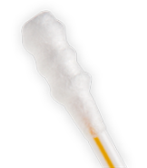 Mascara bud